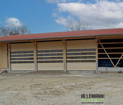 ALLEMANN Holzsektionaltore für Bergehalle