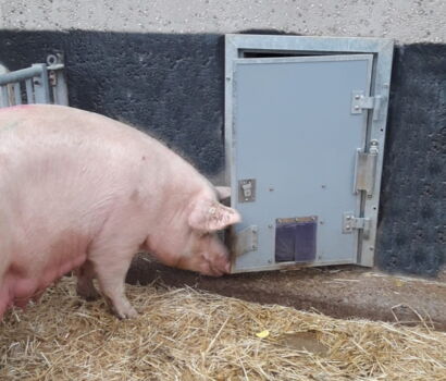 Flügeltore für die Landwirtschaft